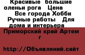 Красивые  большие оленьи рога › Цена ­ 3 000 - Все города Хобби. Ручные работы » Для дома и интерьера   . Приморский край,Артем г.